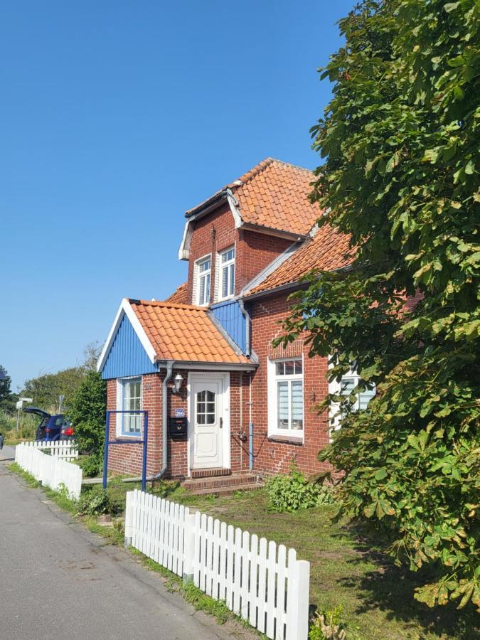 Urlaub Im Blauen Haus Daire Sehestedt  Dış mekan fotoğraf