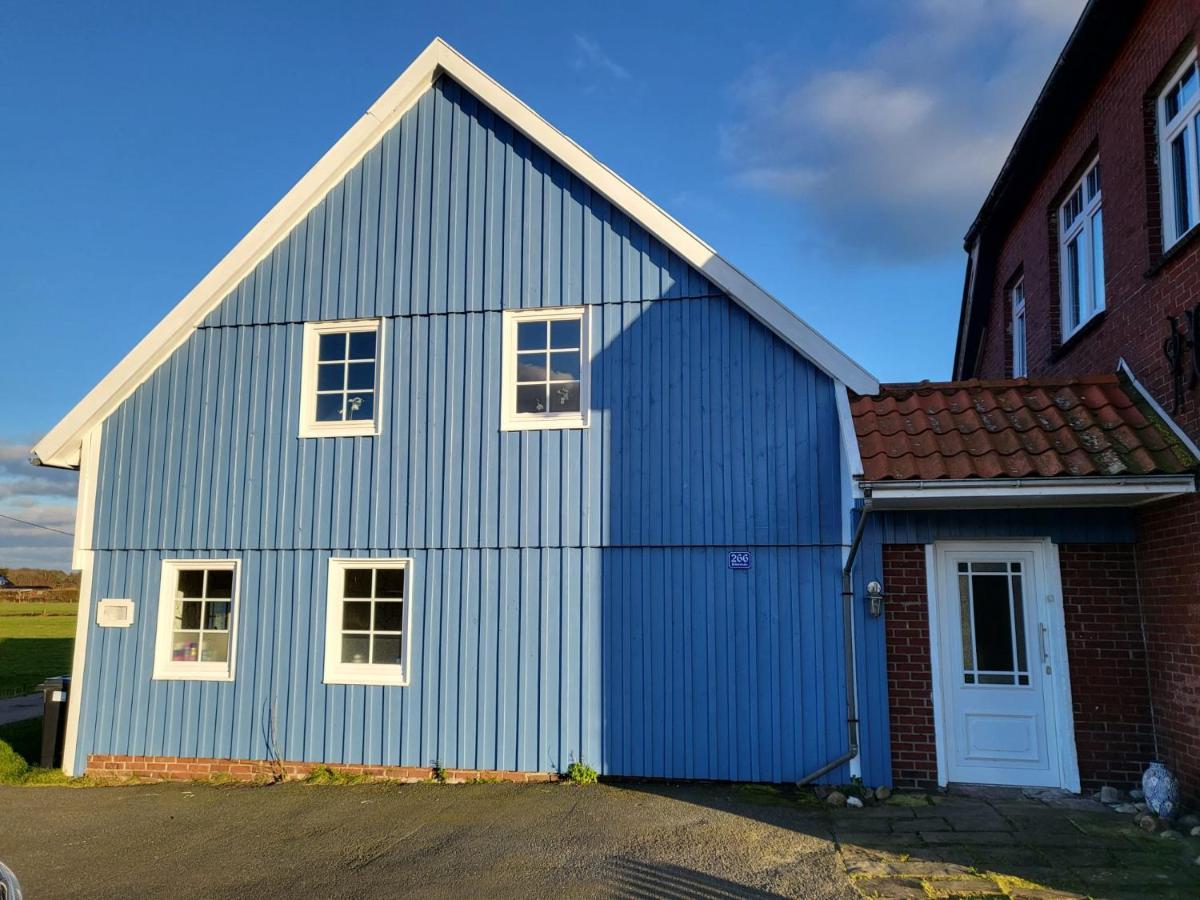 Urlaub Im Blauen Haus Daire Sehestedt  Dış mekan fotoğraf